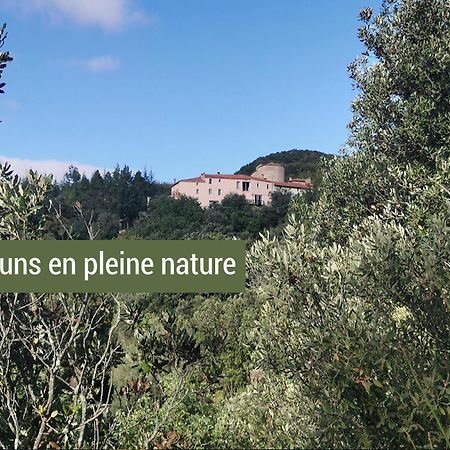 Pyrenees Mon Amour Felluns Buitenkant foto
