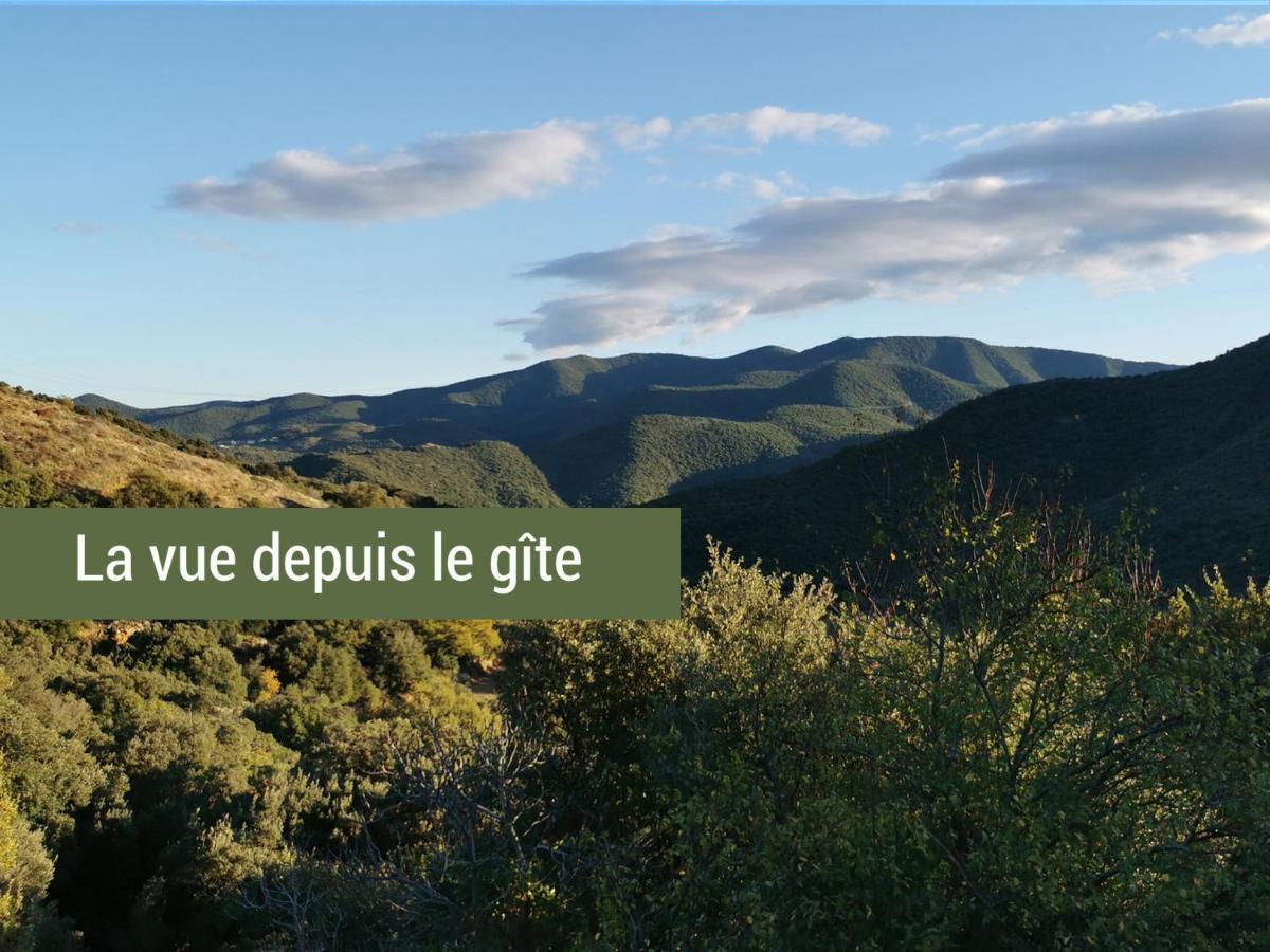 Pyrenees Mon Amour Felluns Buitenkant foto