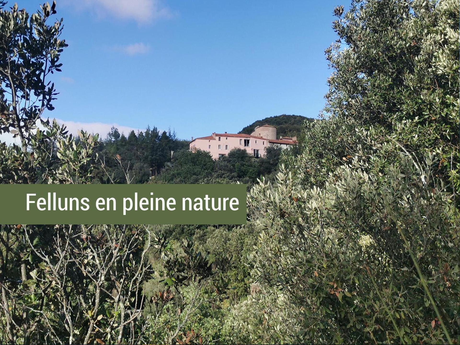 Pyrenees Mon Amour Felluns Buitenkant foto