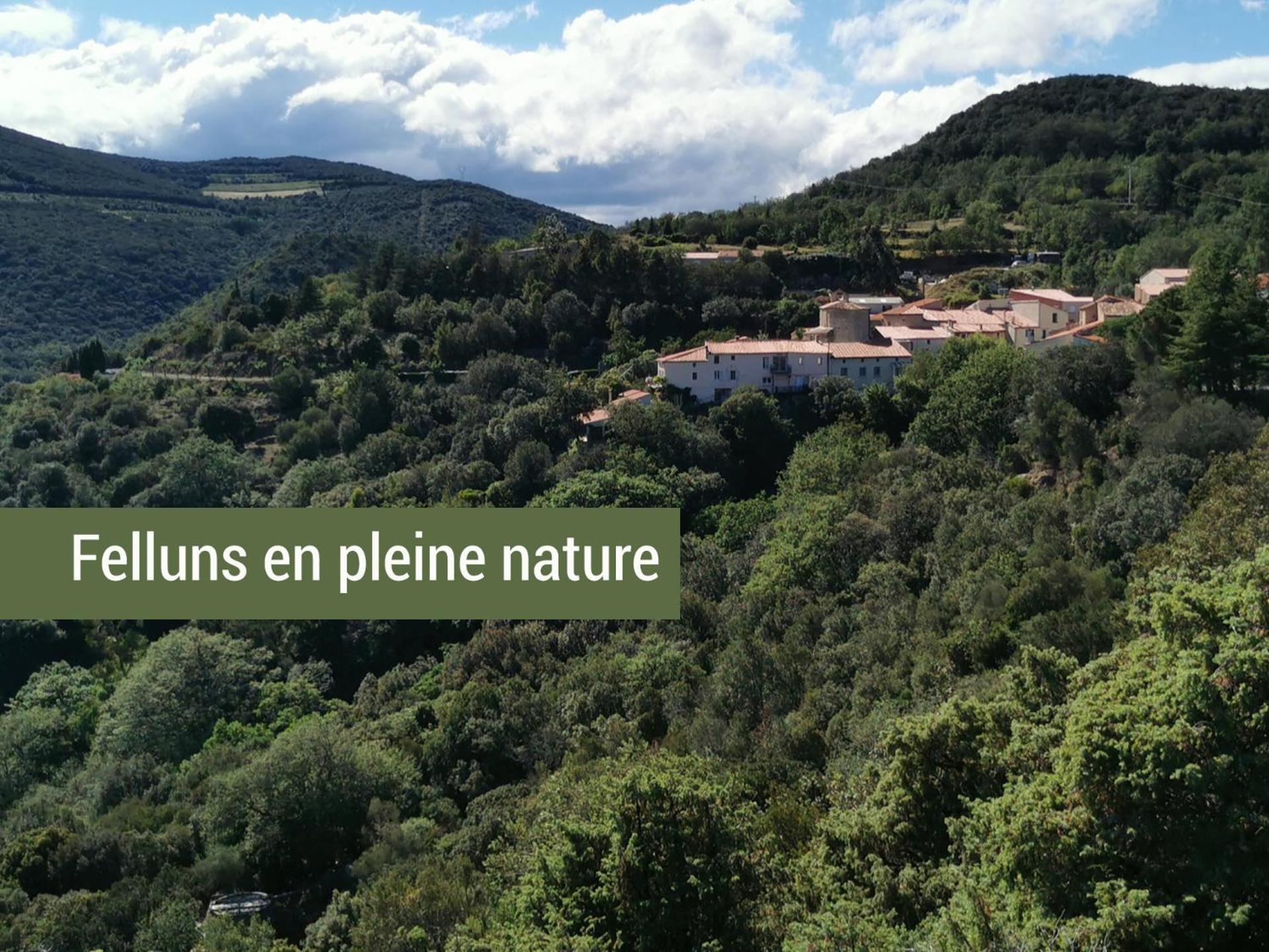 Pyrenees Mon Amour Felluns Buitenkant foto