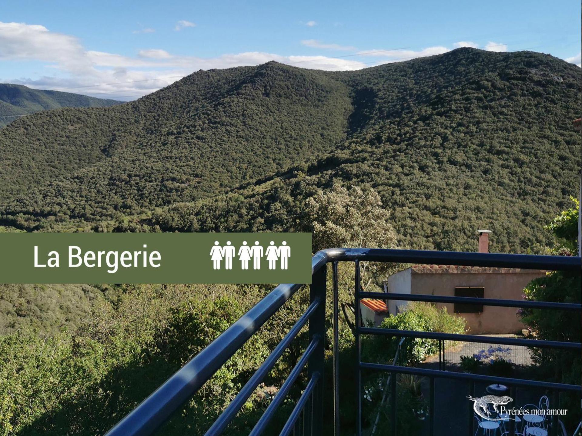 Pyrenees Mon Amour Felluns Buitenkant foto